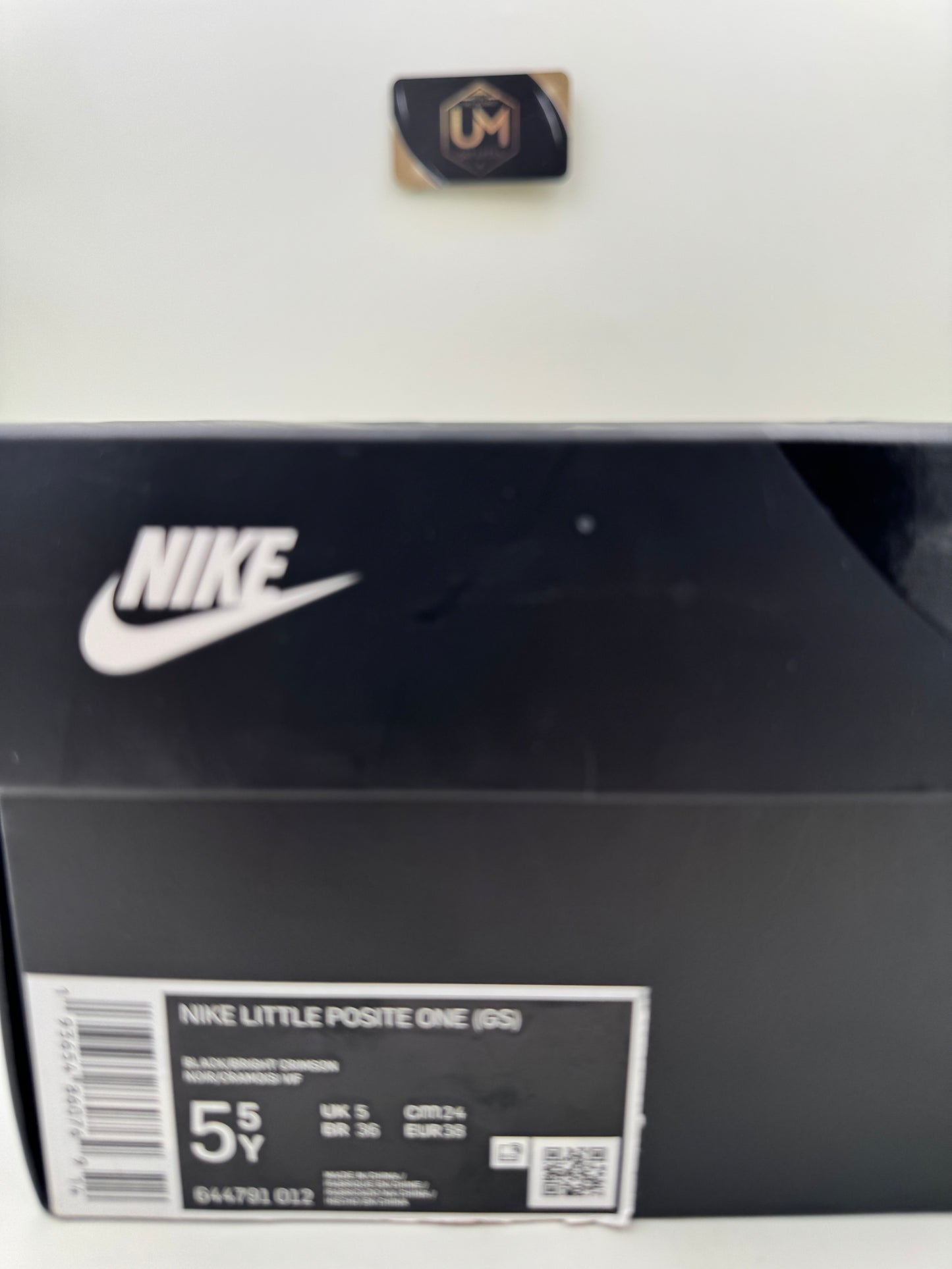 Nike Little Posite One 'Lava' | Size 5.5Y