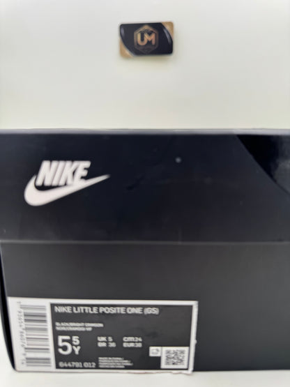 Nike Little Posite One 'Lava' | Size 5.5Y