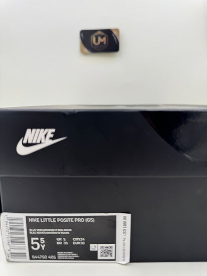 Nike Little Posite One 'USA' | Size 5.5Y