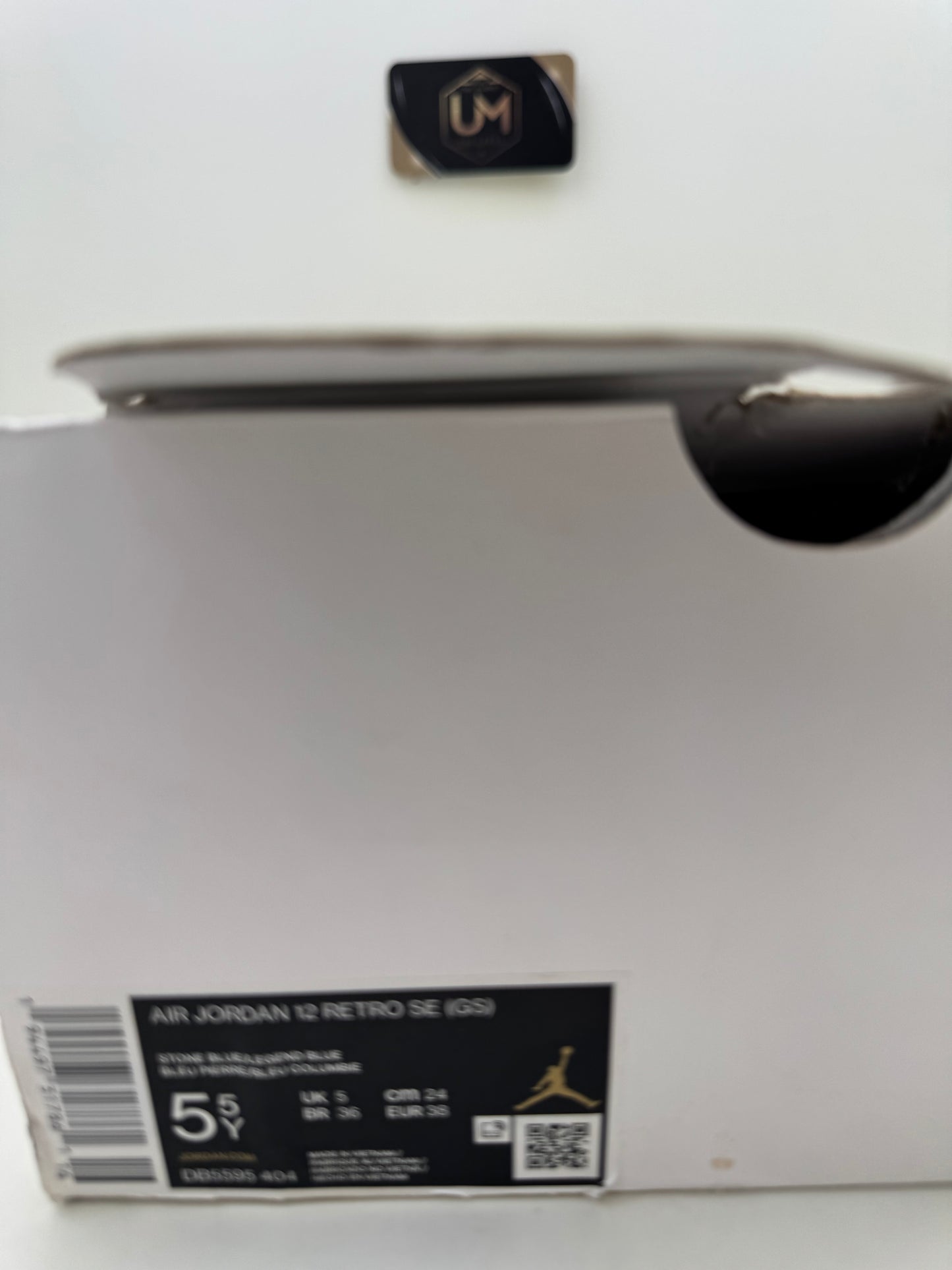 Jordan 12 'Indigo' | Size 5.5Y
