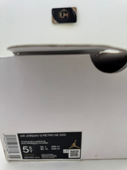 Jordan 12 'Indigo' | Size 5.5Y