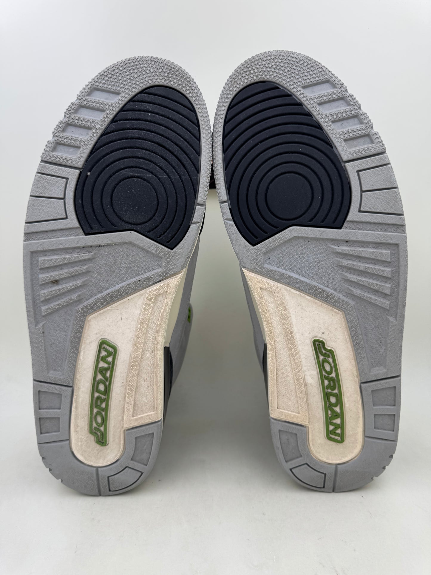 Jordan 3 ‘Chlorophyll’ | Size 14