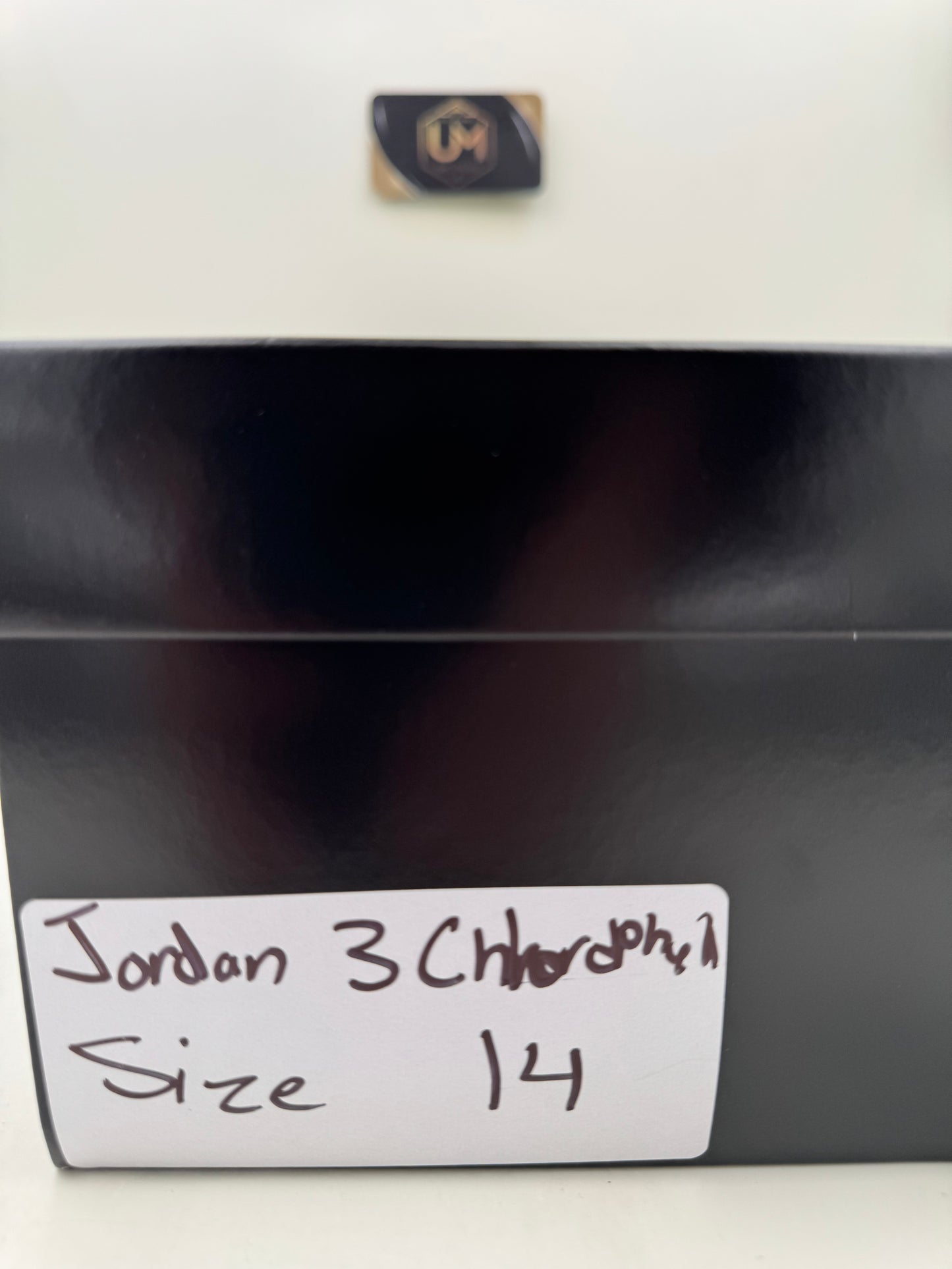 Jordan 3 ‘Chlorophyll’ | Size 14