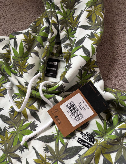 Supreme The North Face Leaf Hoodie & Sweat Suit | Size Medium