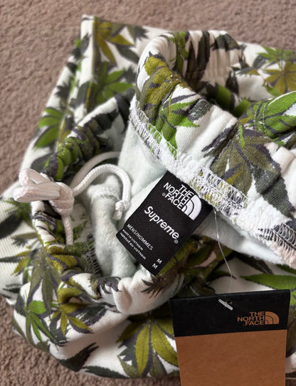 Supreme The North Face Leaf Hoodie & Sweat Suit | Size Medium