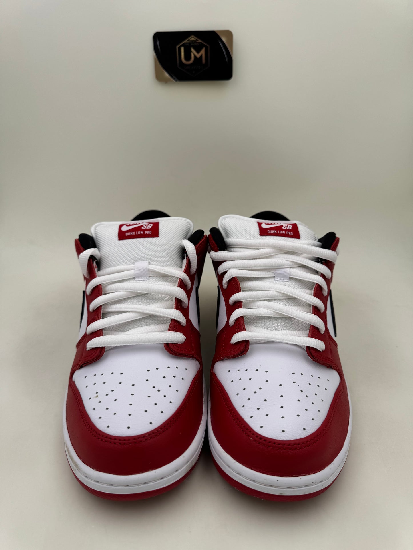 Nike Dunk Low SB ‘J-Pack Chicago’ | Size 10.5