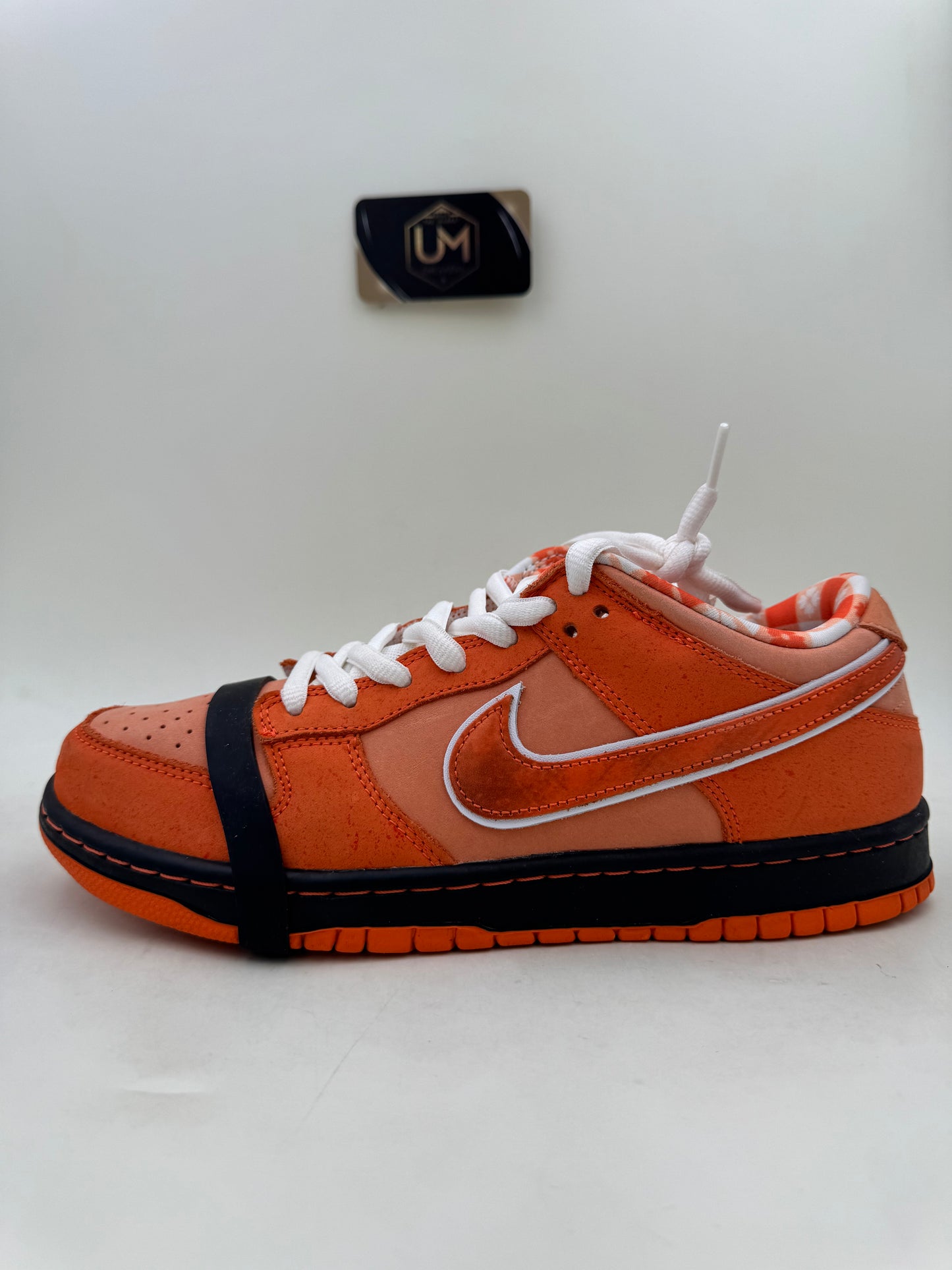 Concepts x Nike Dunk Low SB ‘Orange Lobster' | Size 8.5