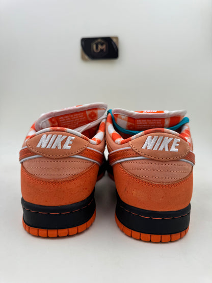 Concepts x Nike Dunk Low SB ‘Orange Lobster' | Size 8.5