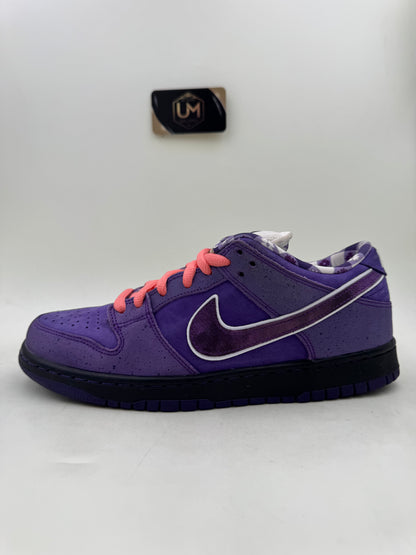 Concepts x Nike Dunk Low SB ‘Purple Lobster’ | Size 9