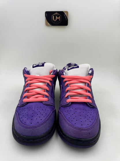 Concepts x Nike Dunk Low SB ‘Purple Lobster’ | Size 9