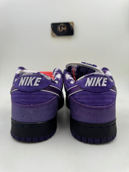 Concepts x Nike Dunk Low SB ‘Purple Lobster’ | Size 9