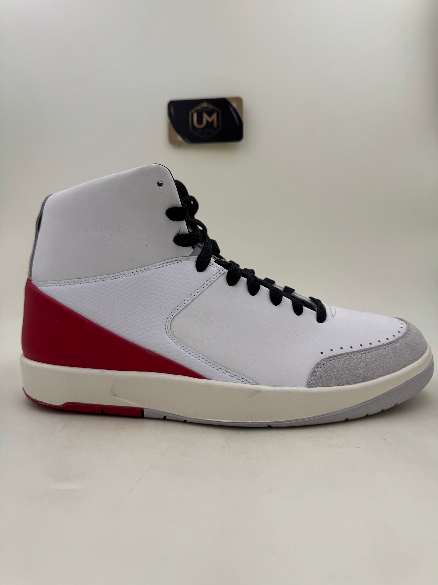 Nina Chanel Abney x Jordan 2 SE | Size 11.5