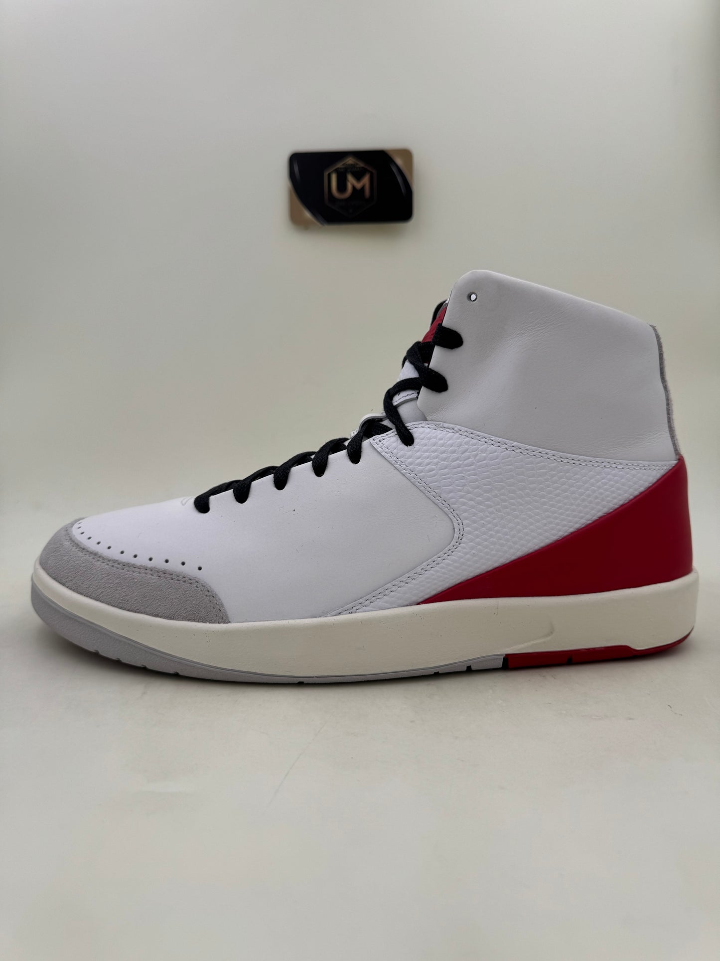 Nina Chanel Abney x Jordan 2 SE | Size 11.5