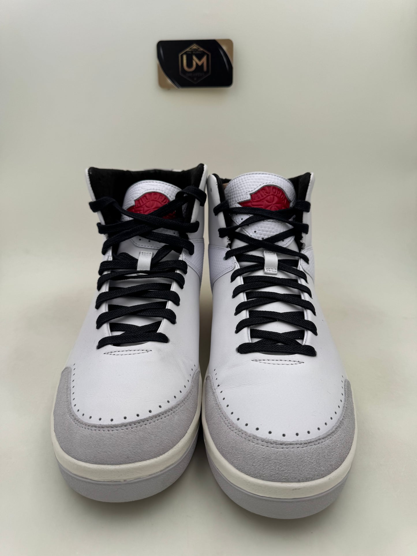 Nina Chanel Abney x Jordan 2 SE | Size 11.5