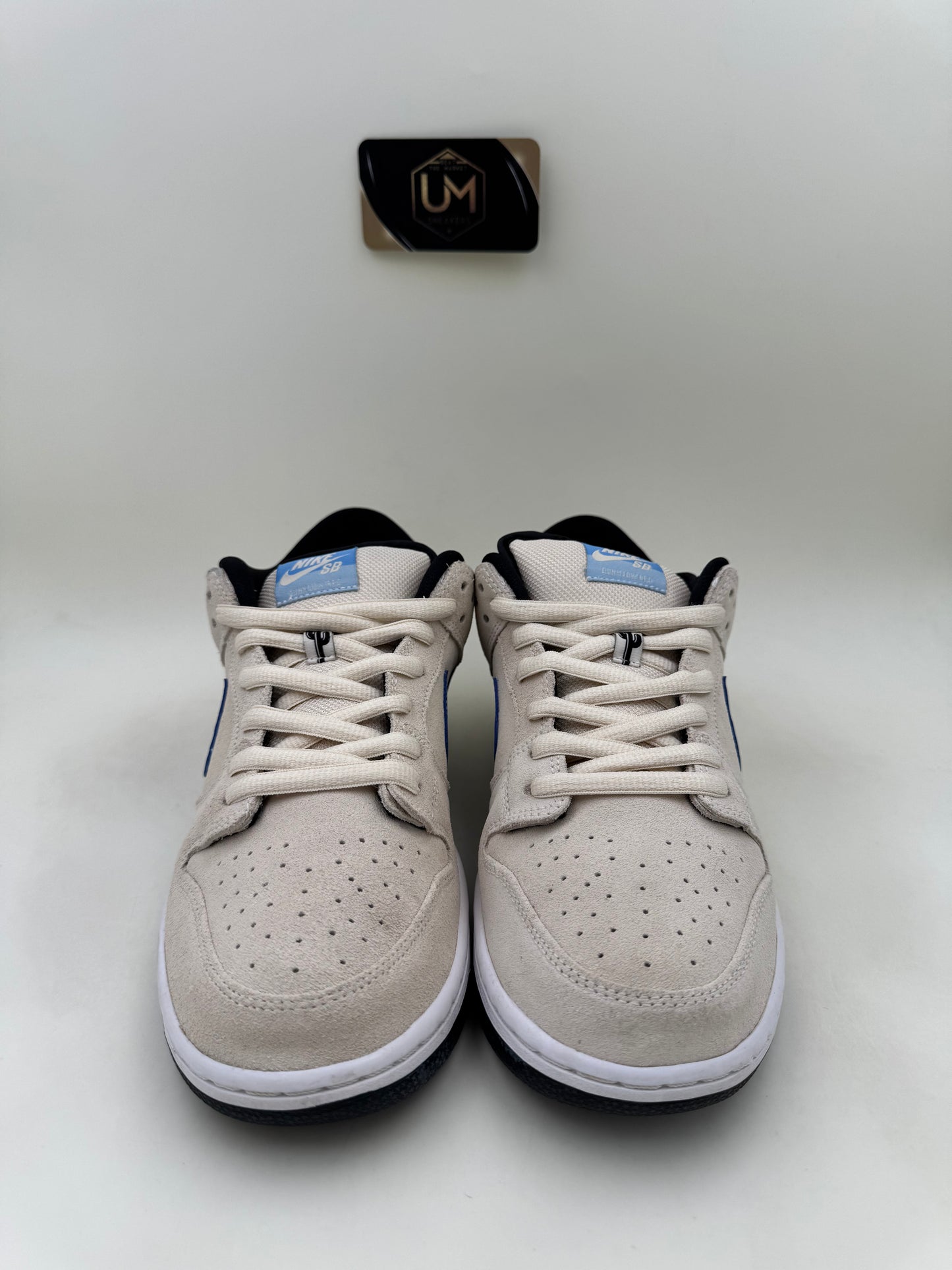 Nike Dunk Low SB ‘Truck It’ | Size 10.5