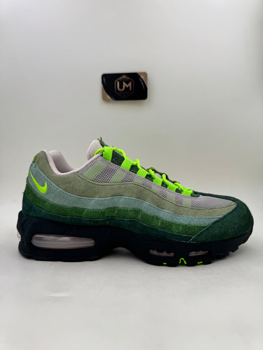 Nike Air Max 95 BB DOAF Oregon ‘The Woods’ PE | Size 10.5