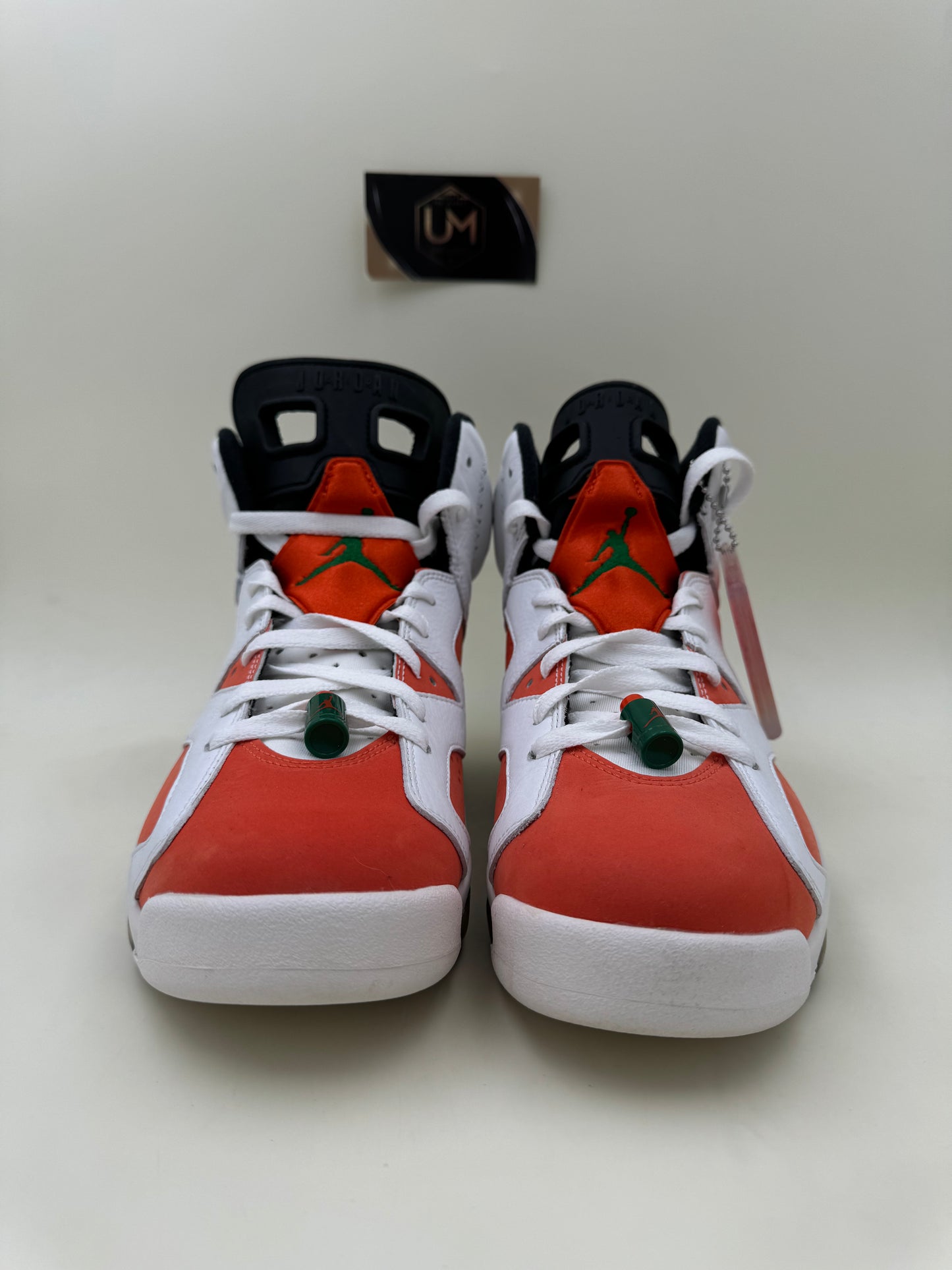 Jordan 6 'Gatorade' | Size 9