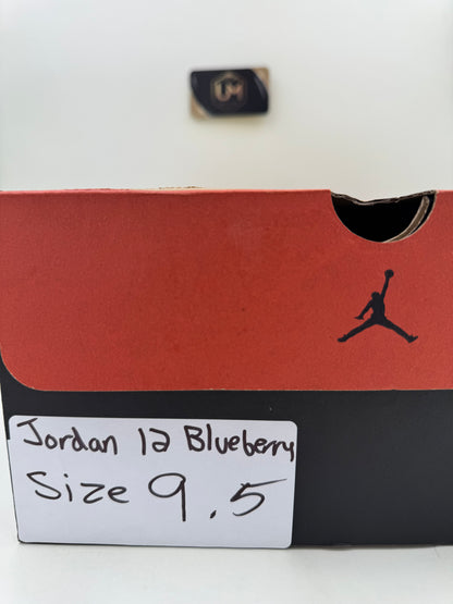Jordan 12 ‘Blueberry’ | Size 9.5