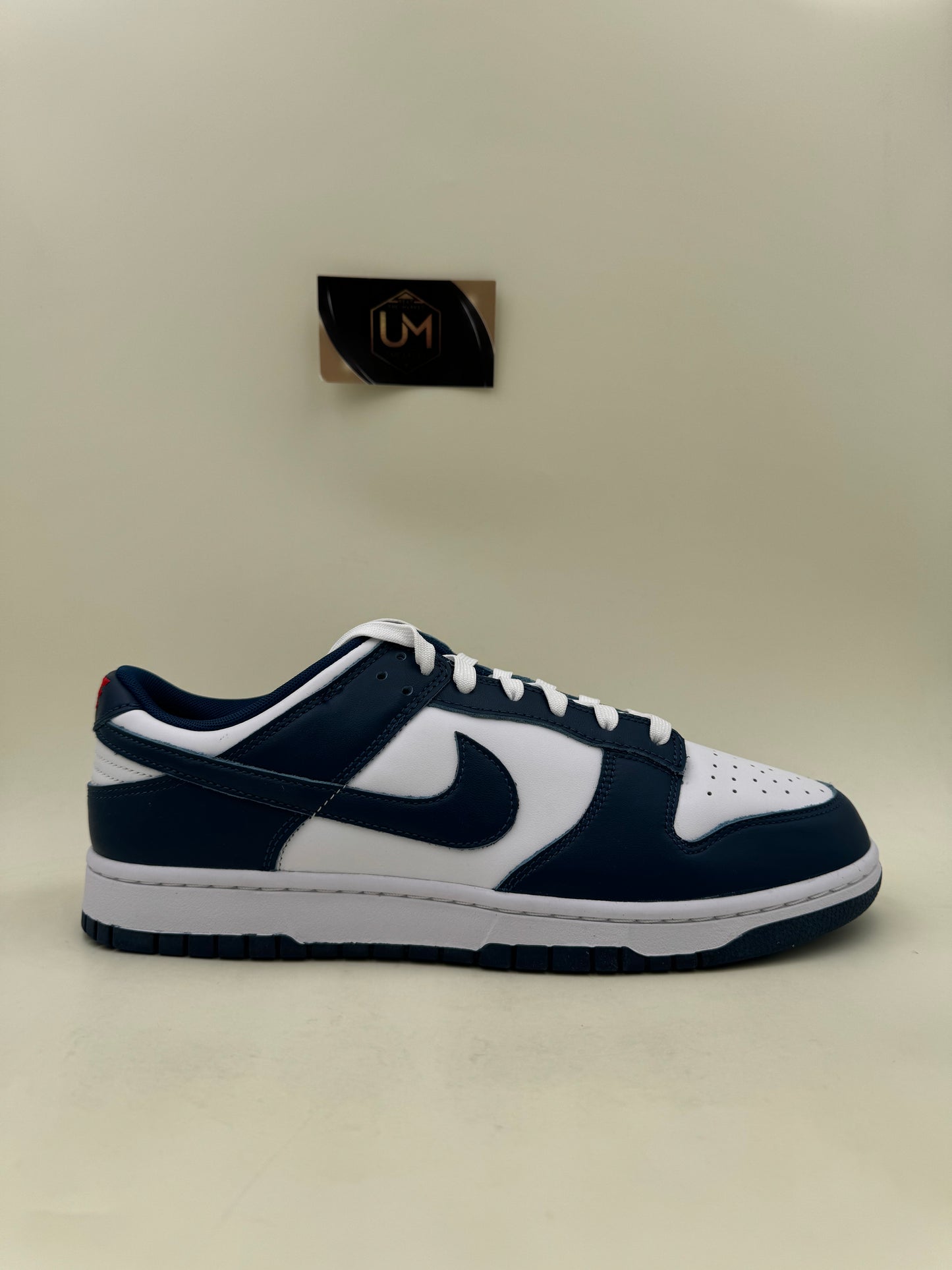 Nike Dunk Low 'Valerian Blue' | Size 12